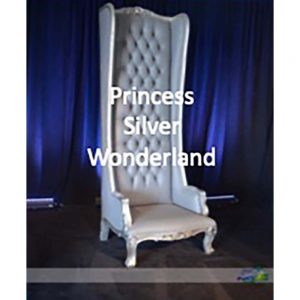 Princess Silver Wonderland Chair